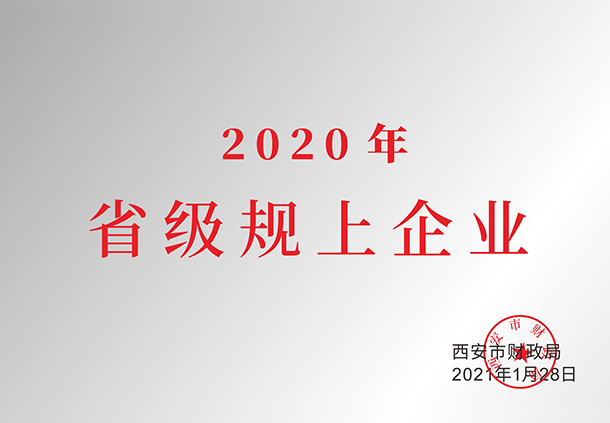 2020年省級規上企業(yè)