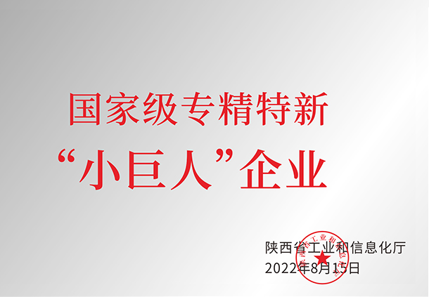 國家級專(zhuān)精特新“小巨人”企業(yè)